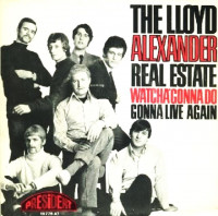 13the-lloyd-alexander-real-estate (2)